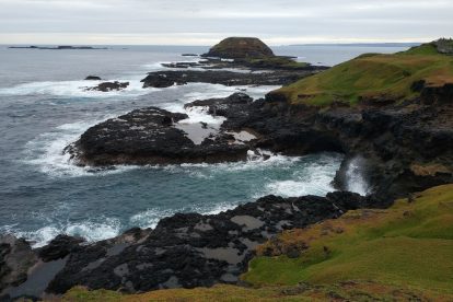 The Nobbies Centre - Seal Rocks, Cafe & Accommodation, Phillip Island